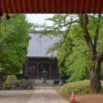 葉桜の東福寺