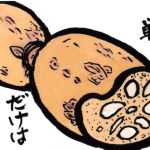 孫と蓮根