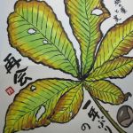 栃の葉と実