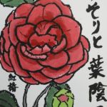 紅椿