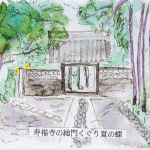 寿福寺の総門くぐり夏の蝶