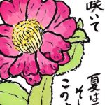 山茶花