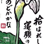 カラー