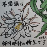 月下美人