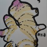 新生姜