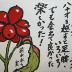 花水木の実