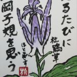 杜鵑草