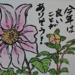 皇帝ダリア　元旦に初開花