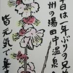薄紅梅