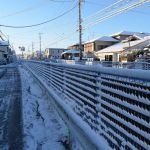 一夜明けた近所の雪景色