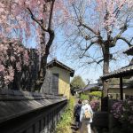 小布施の「栗の小径」