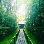 大徳寺 高桐院