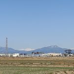 麦畑と雪の谷川岳