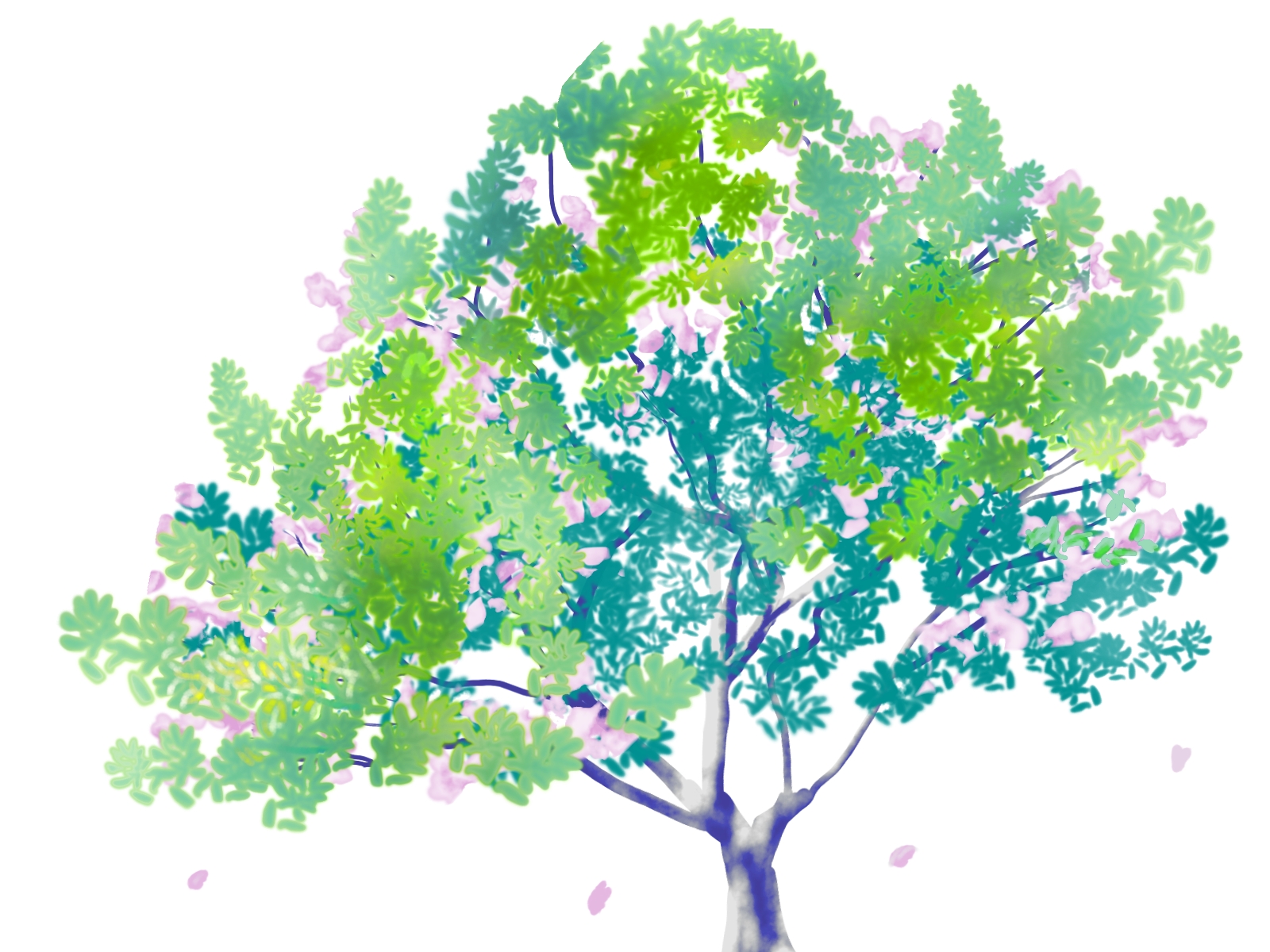 葉桜のイメージ